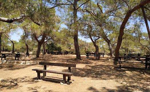 Пикник-парк в Пейе