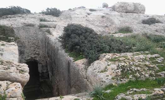 Лес Мелети в Пейе