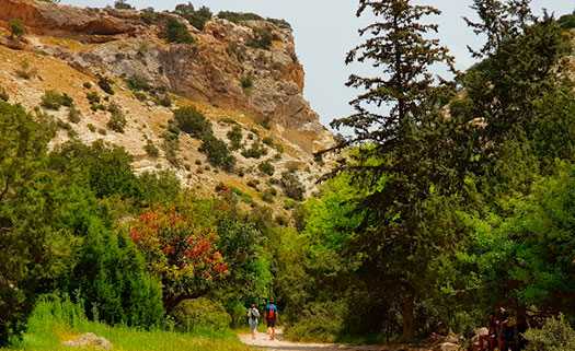 Природная тропа ущелья Авакас