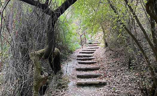 Природная тропа Анерадес