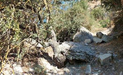 Тропа к пещере Аммати