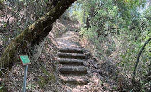 Природная тропа Хрисороятисса