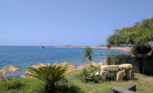 Место для пикника Тими