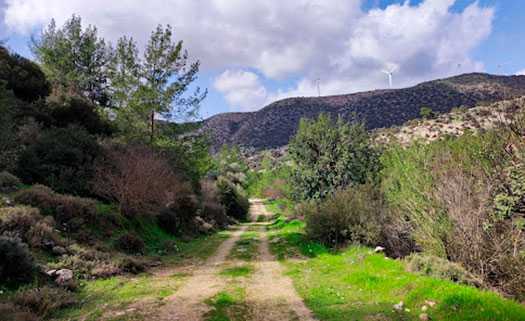 Ореитский лес