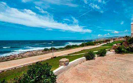 Chloraka, Paphos, Cyprus