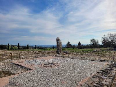 Археологическая площадка с мозаичным покрытием в Палепафосе