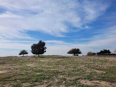 Открытое пространство на территории Палепафоса