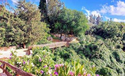 Flower Valey in Lempa