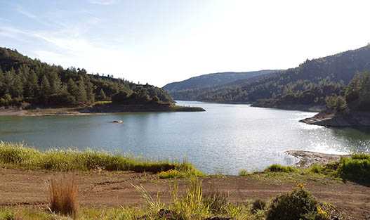 Армину, Пафос, Кипр