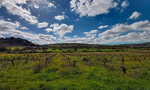 Куртака, Пафос, Кипр