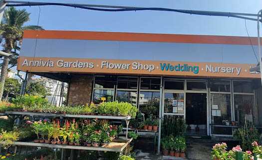 Annivia Gardens в Пафосе