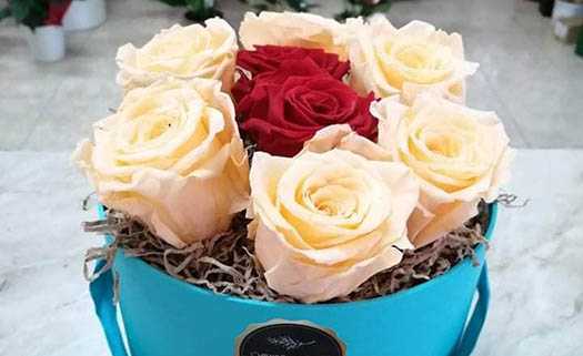 Chrysovalantis Plant Nurseries в Пафосе