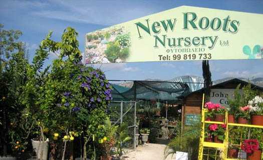 New Roots Nursery в Пафосе