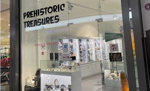 Prehistoric Treasures в Пафосе