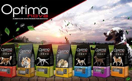 Alfredos Animal Food  в Пафосе