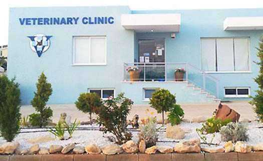 Dr. Inna Matvienko Veterinary Clinic в Пафосе