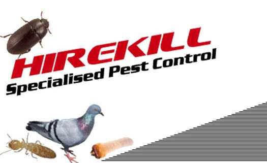 Hire Kill Pest Control Ltd в Пафосе