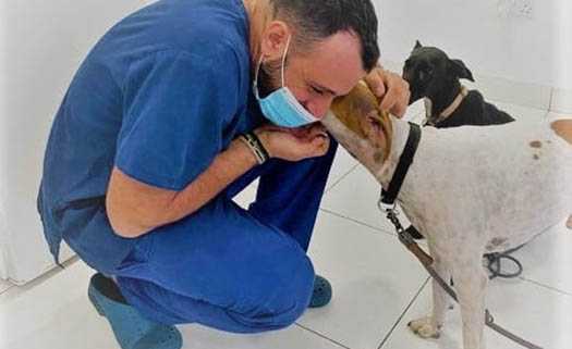 VETNCCY LTD. Veterinary Clinic - Geroskipou в Пафосе