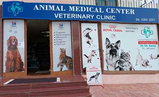 Animal Medical Center Polis Chrysochous in Paphos