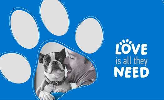 D&N Vet Veterinary Clinic in Paphos