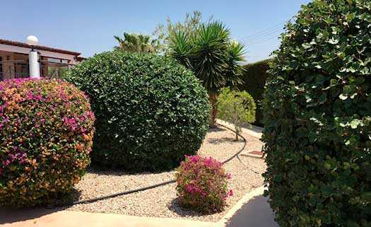 Dig it Landscape & Gardening Services in Paphos