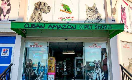 Cuban Amazon Pet Shop in Paphos