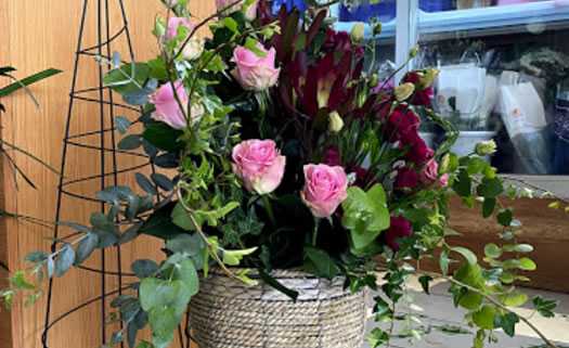 Christakis Iakovou Nursery in Paphos