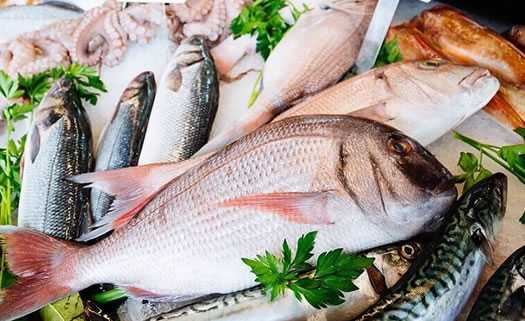 Fish Market Lefkos in Paphos