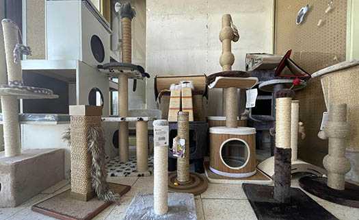 Makarounas Petland in Paphos