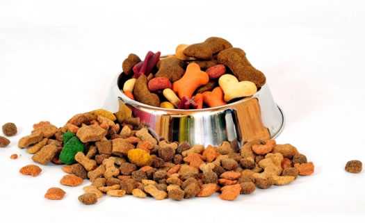 Alfredos Animal Food in Paphos