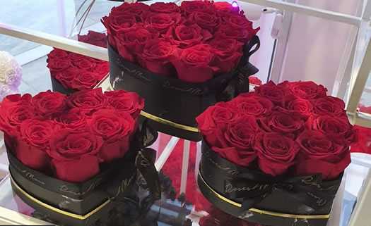 Roses & Moss in Paphos