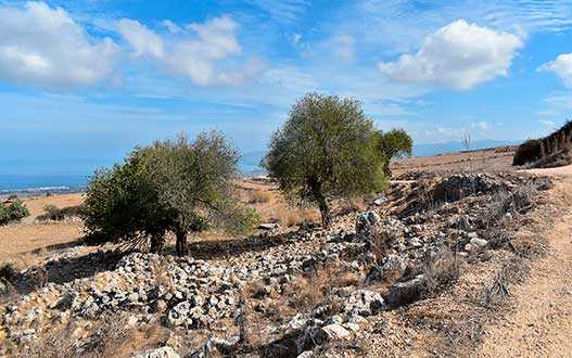 Fasli, Paphos, Cyprus