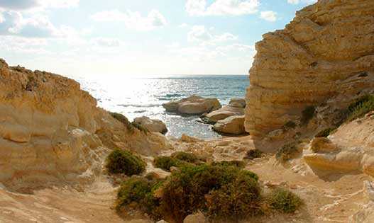 Kamares, Paphos, Cyprus