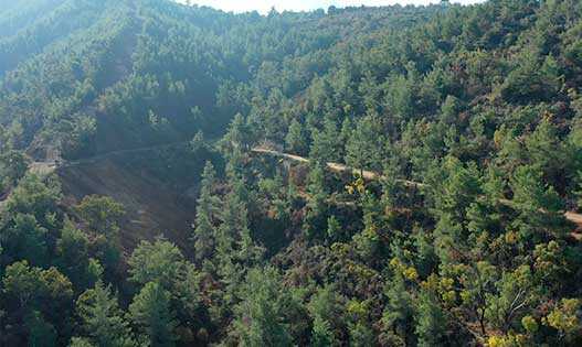 Kinousa, Paphos, Cyprus