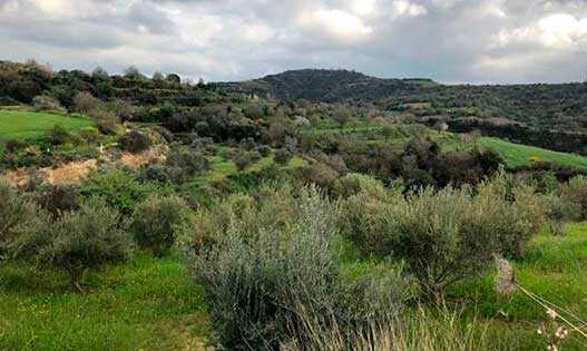 Loukrounou, Paphos, Cyprus